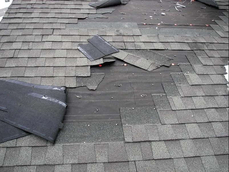Expert shingle roofing service same-day service across Waynesburg, OH - Yoder Roofing & Tree Service