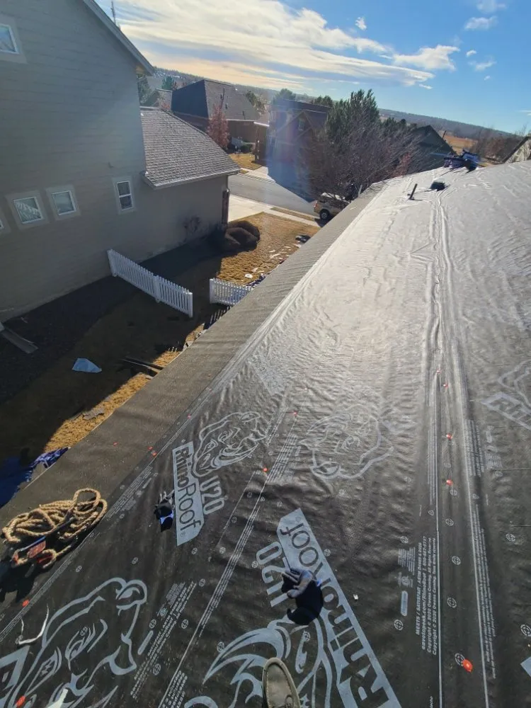 Slide of Yogi Roofer