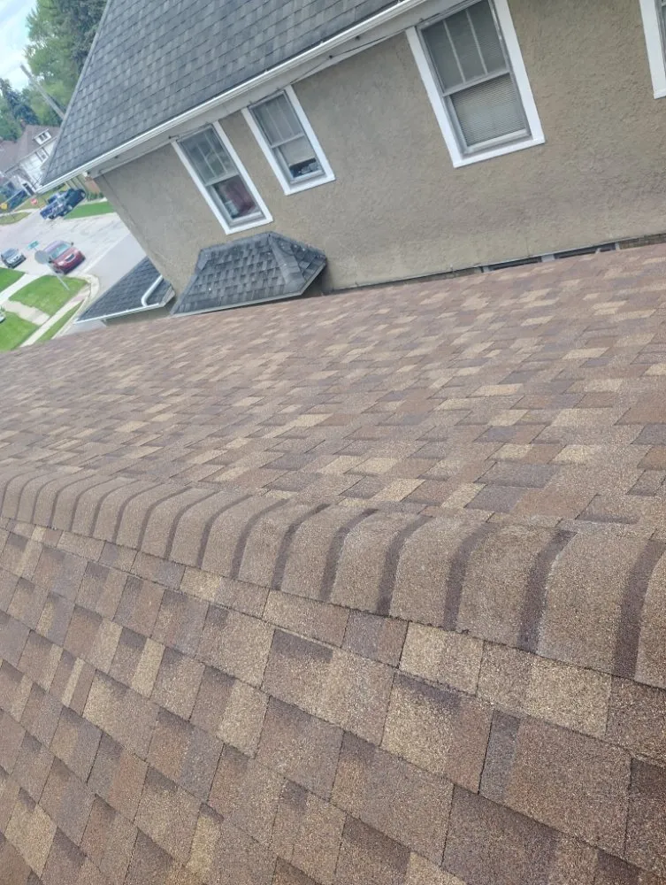 Slide of young roofing