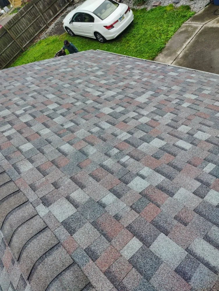 Slide of young roofing