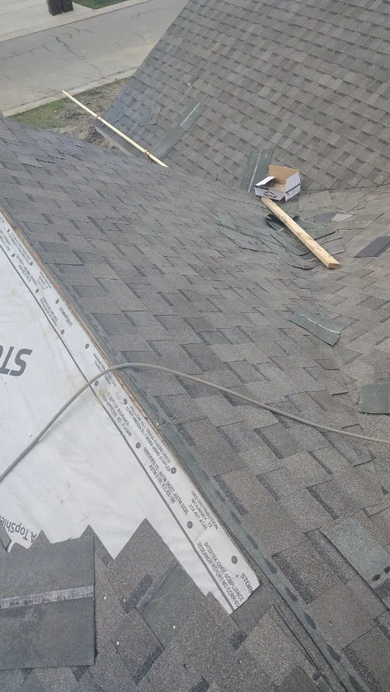 Slide of young roofing