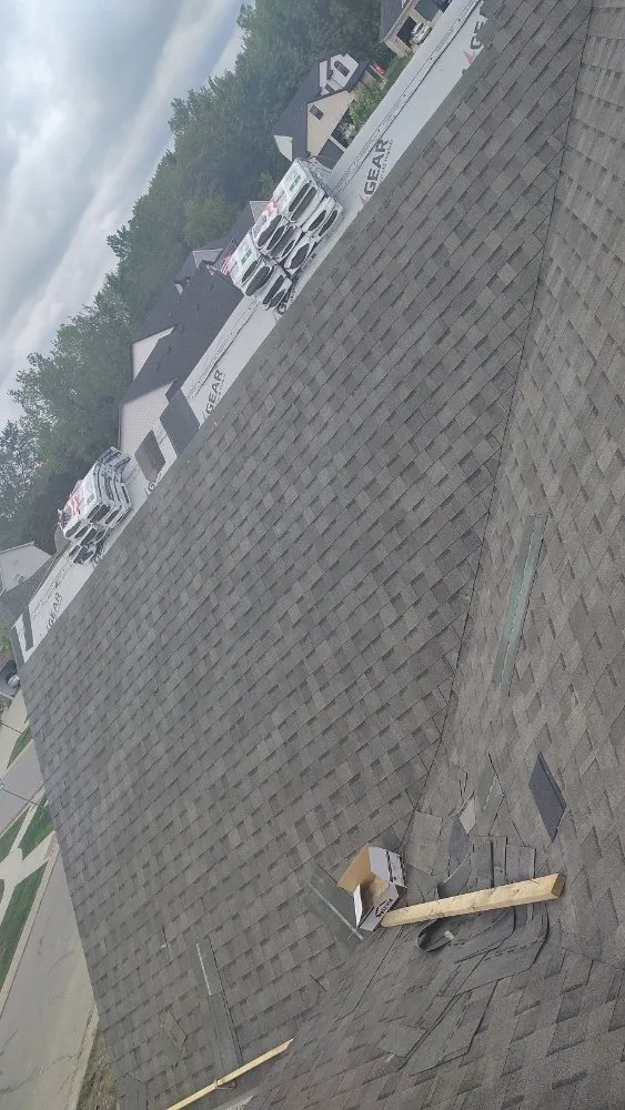 Slide of young roofing