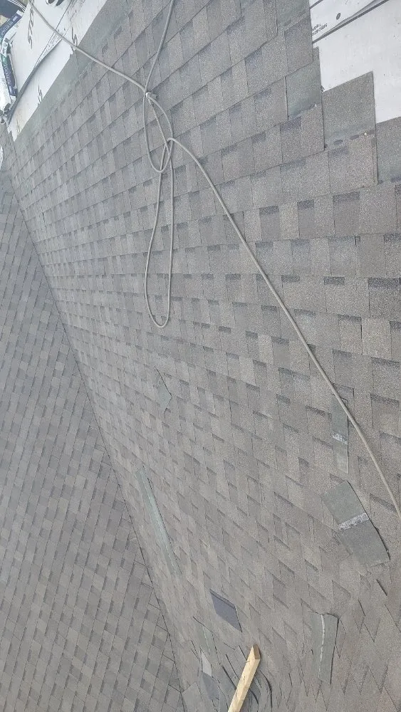 Slide of young roofing