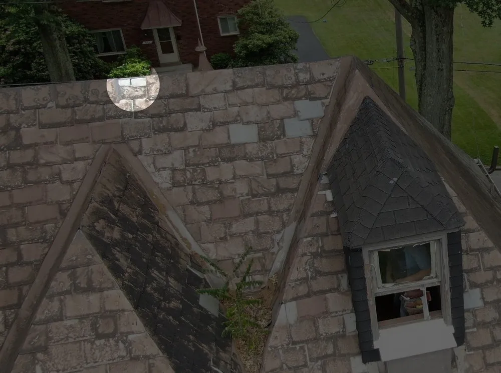 Top-rated shingle roofing service for residential properties across Transfer, PA - Young Slate Roofing