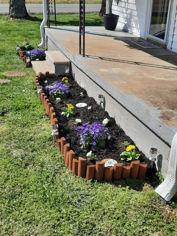 Slide of Young's Repair