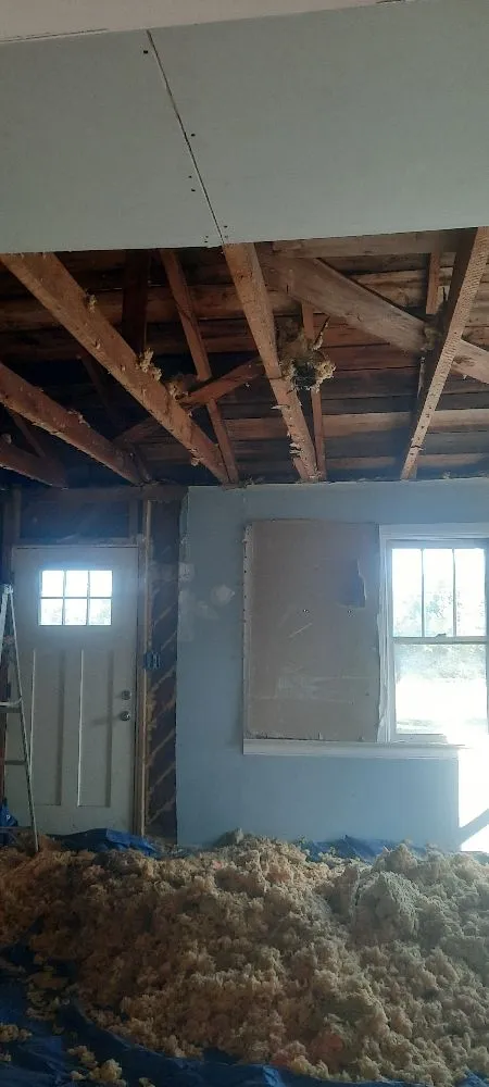 Slide of Young's Repair