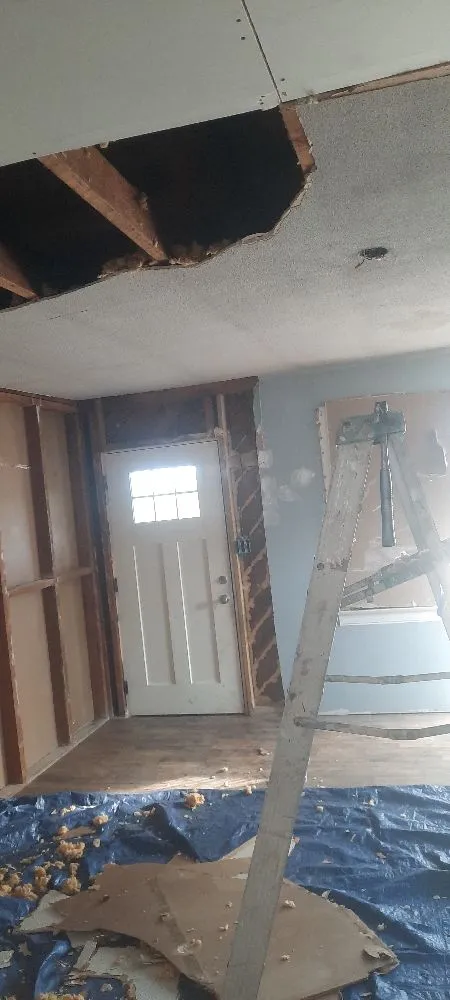 Slide of Young's Repair