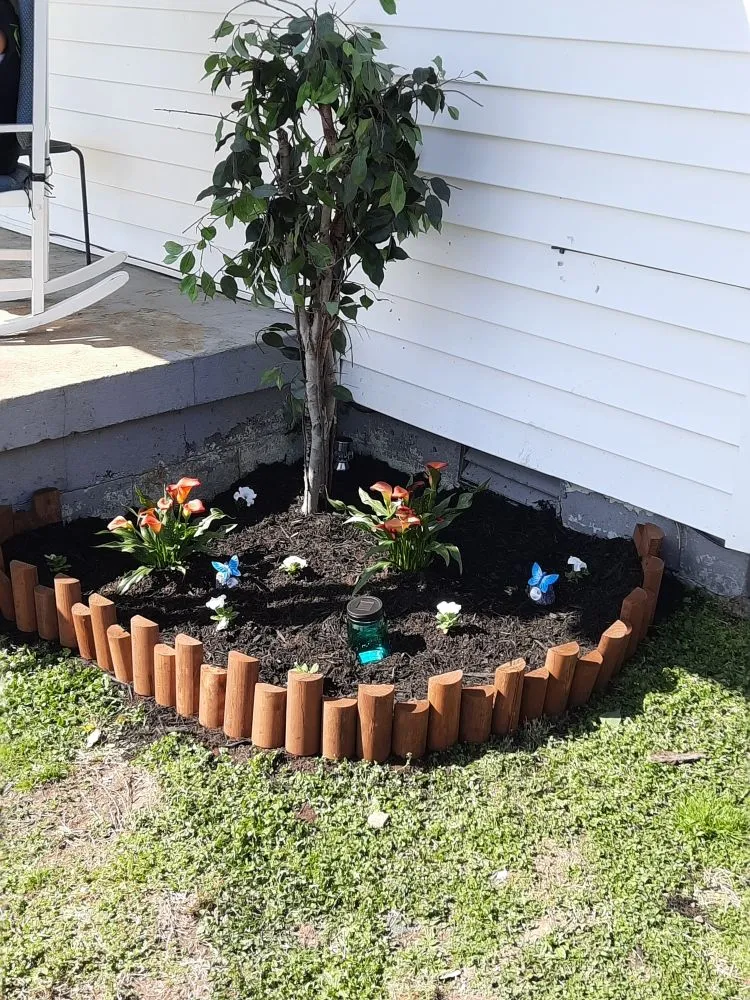 Slide of Young's Repair