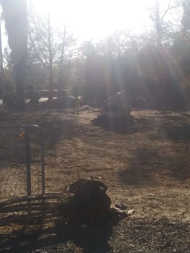 Slide of Youngster&TheMuscle