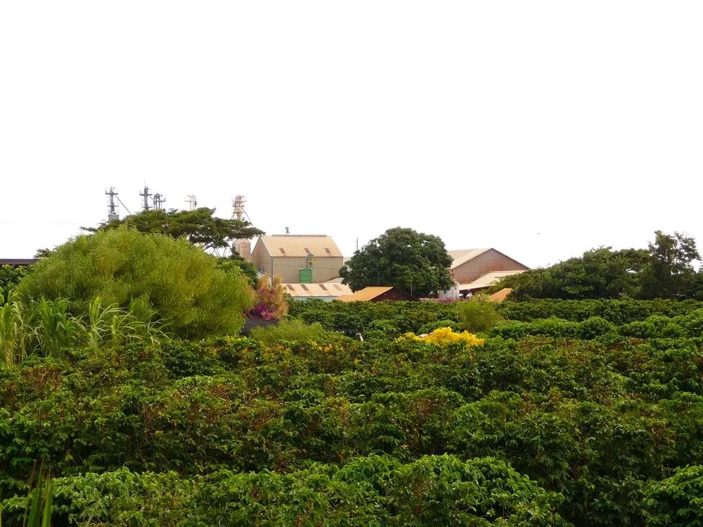 Slide of Youngstown Roofing And Siding