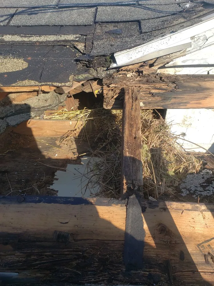 Slide of Your Ideal Roofing