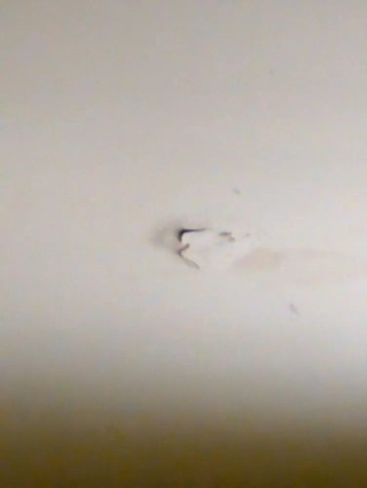 Slide of Your Local Roofing