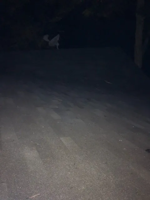 Slide of Your Problem Our Solution