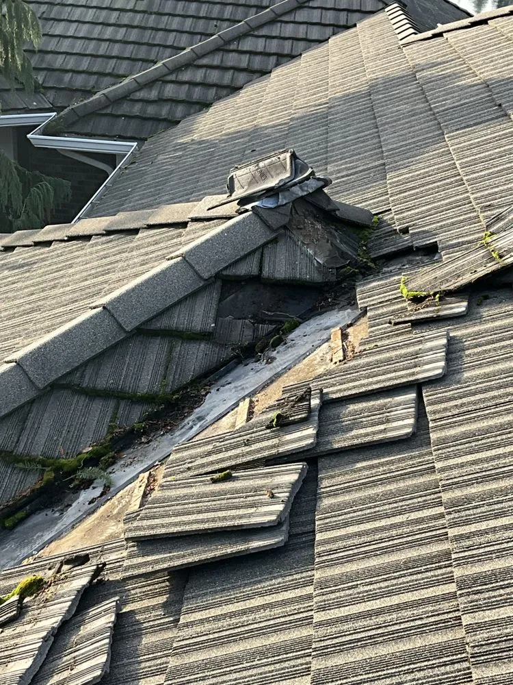 Slide of Your Roof Medic