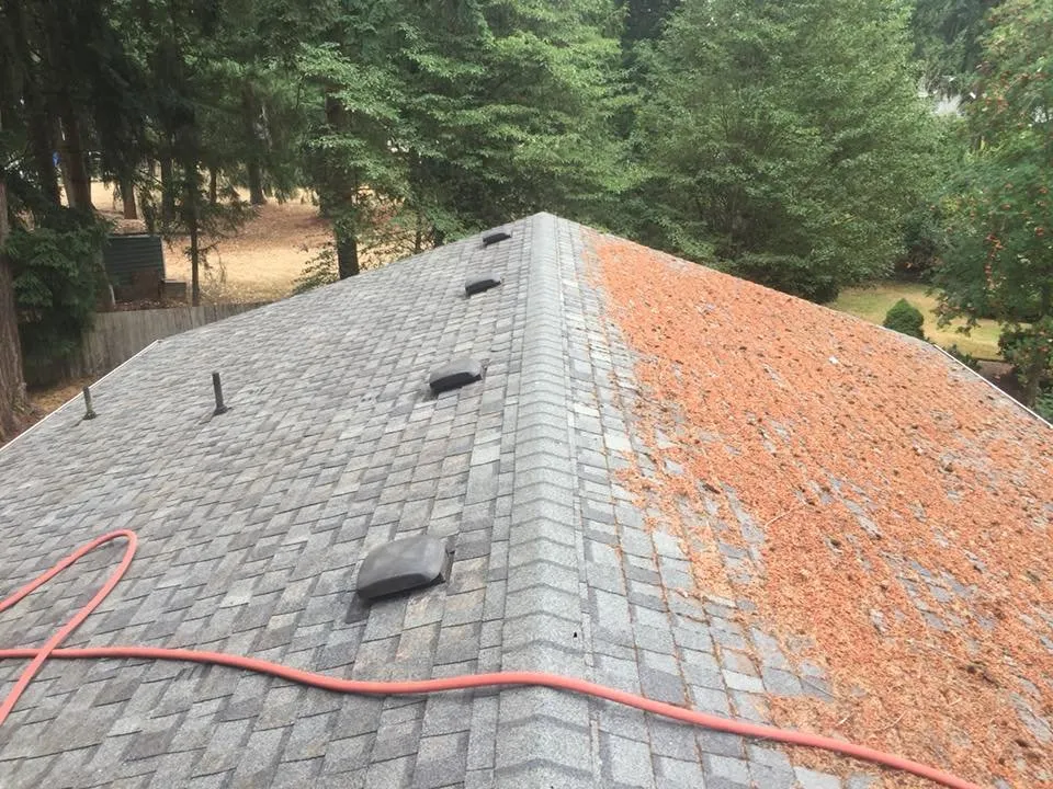 Slide of Your Roof Medic