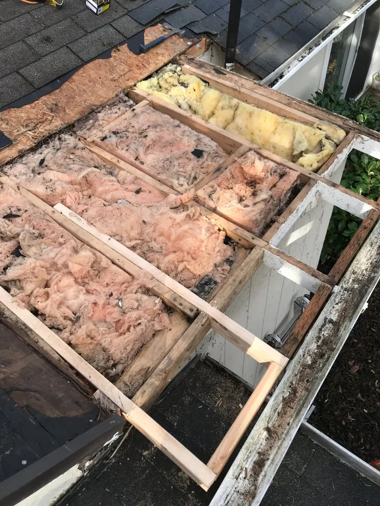 Slide of Your Roof Medic