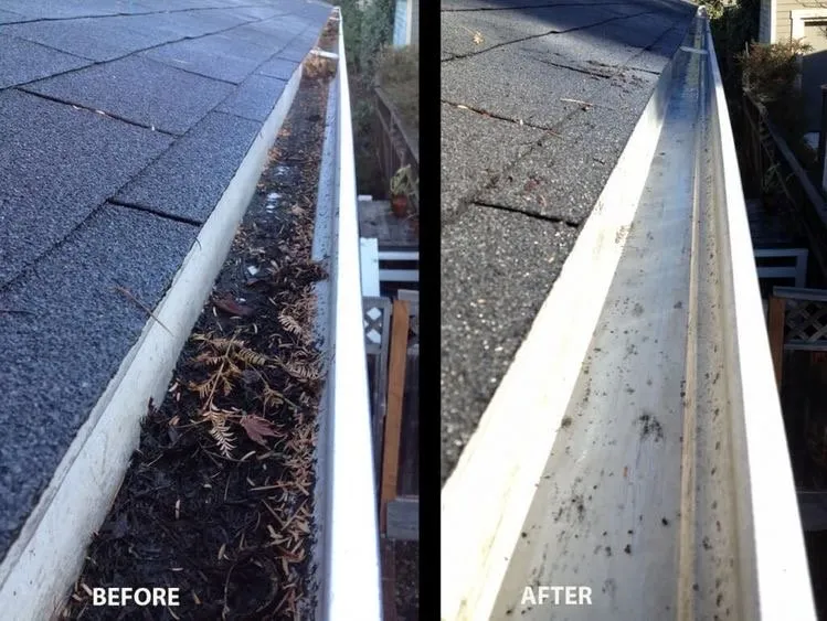 Slide of Yucky Exterior Cleaning Service