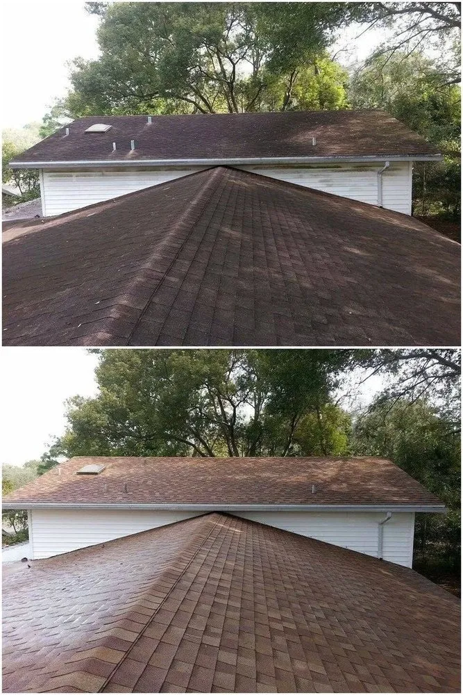 Slide of Yucky Exterior Cleaning Service