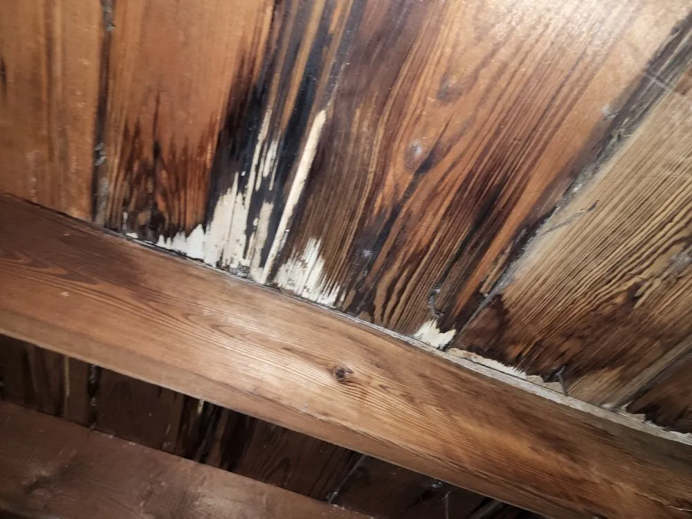 Slide of Zavala Contracting