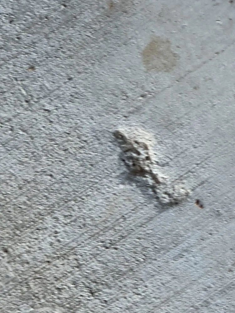 Slide of Zeal Construction