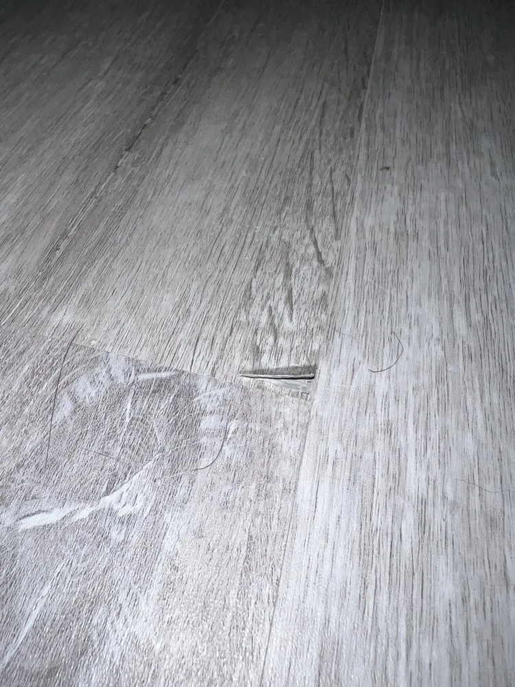 Slide of Zealous Renovation