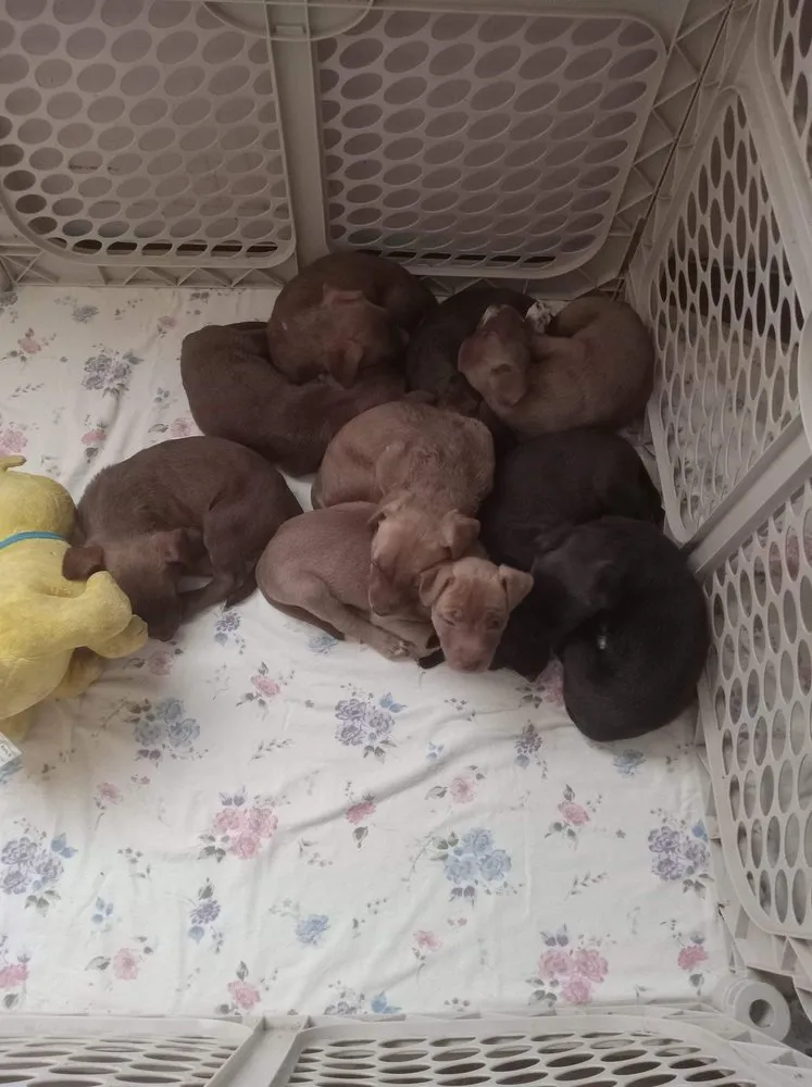 Slide of Zeiger Handyman And Repair