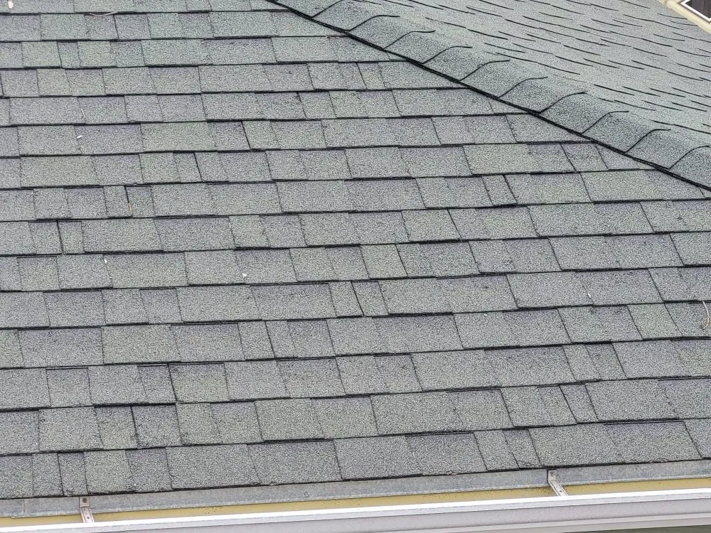 Slide of Zeper Construction