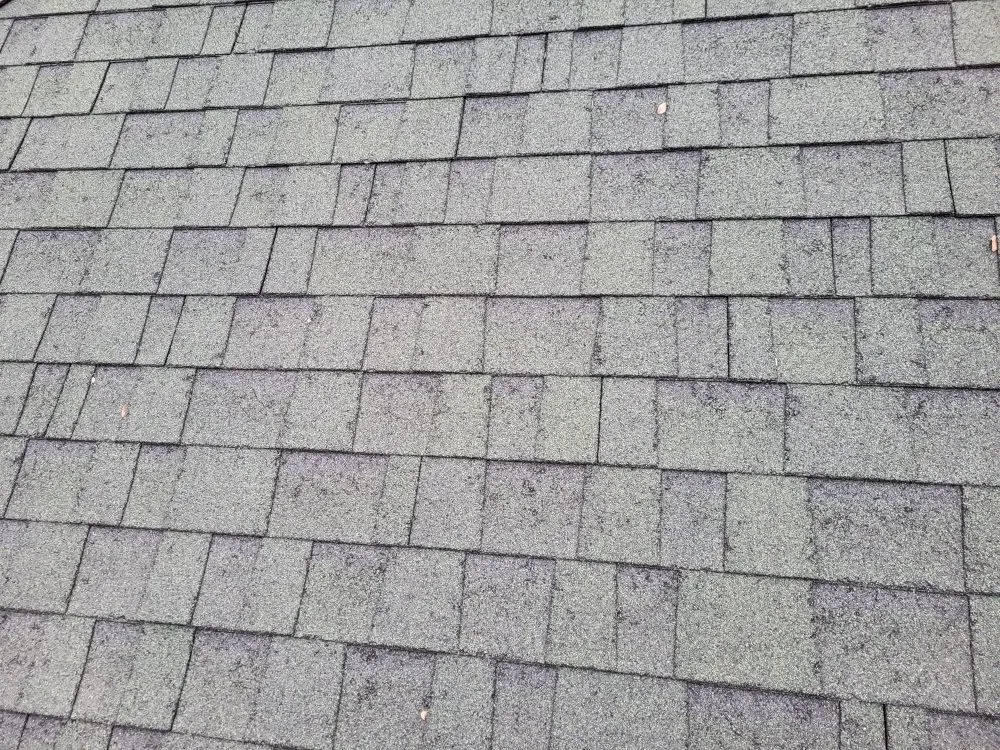 Slide of Zeper Construction