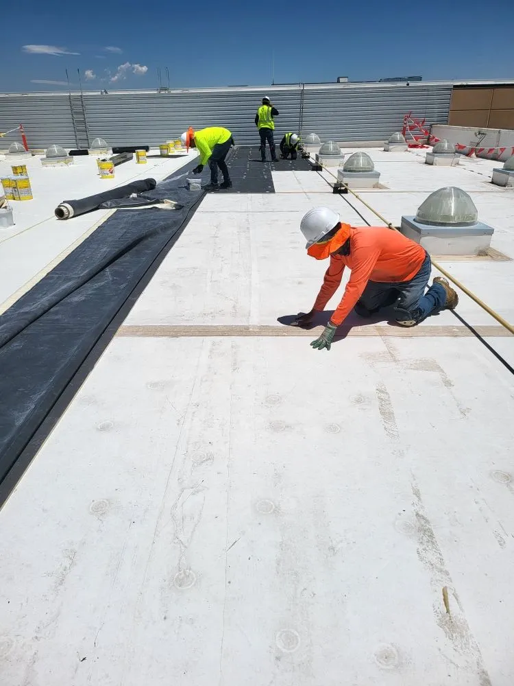 Slide of Zeus Roofing