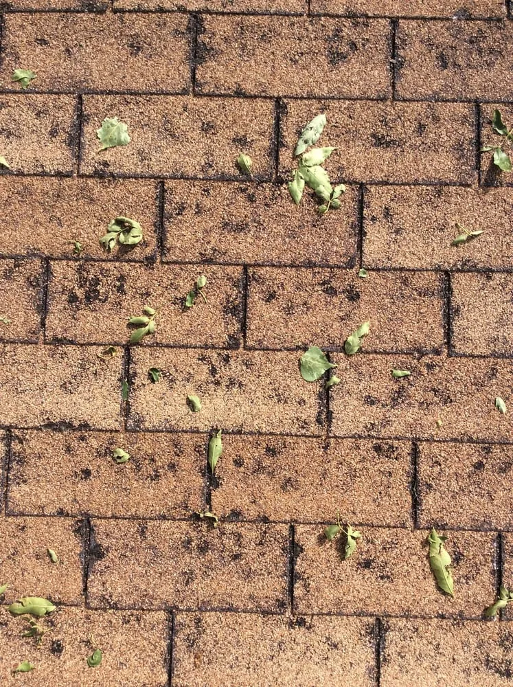 Slide of Zick Contruction & Roofing