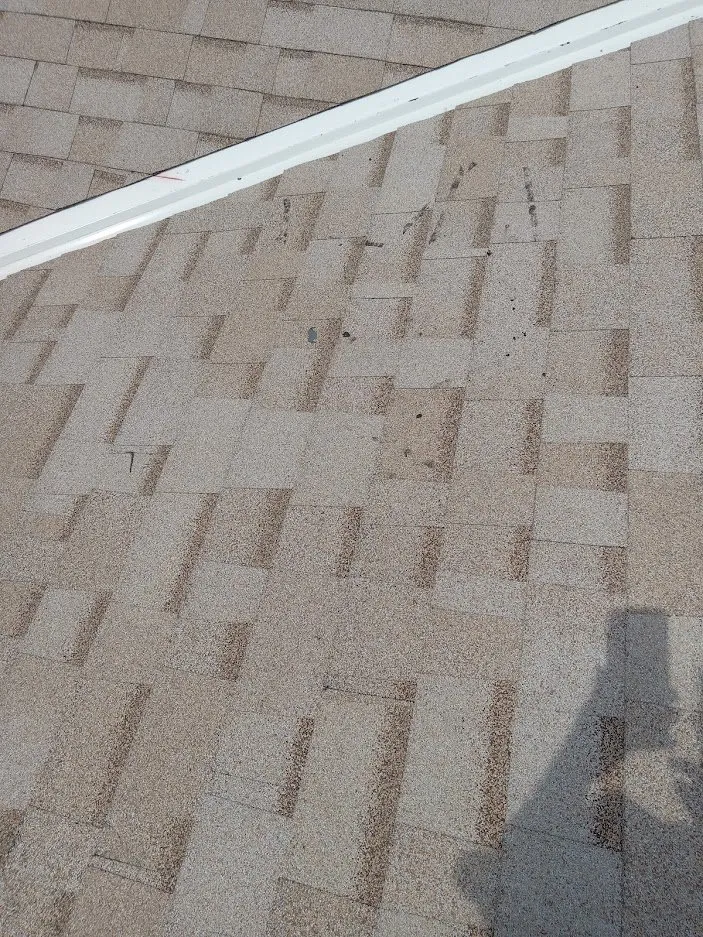 Slide of Zinc Roofing