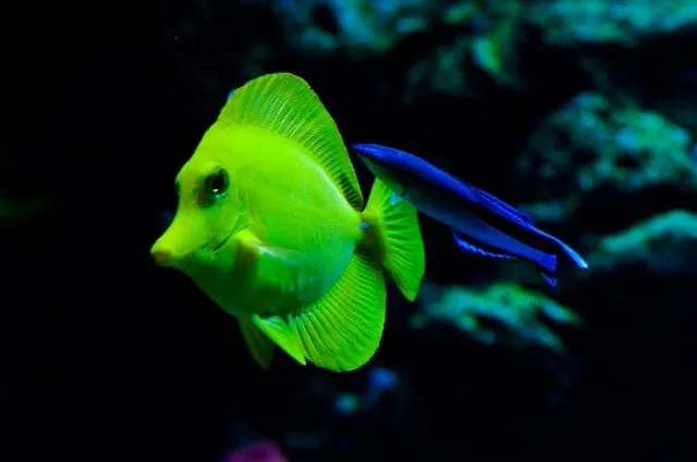 Slide of Zion Home Roofing & Siding