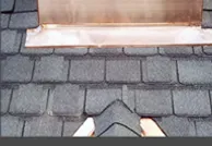 Slide of Zooguy Renovations