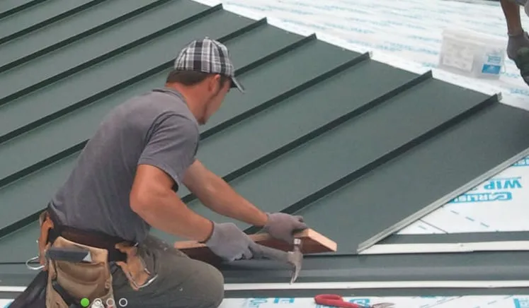 Slide of Zooguy Renovations