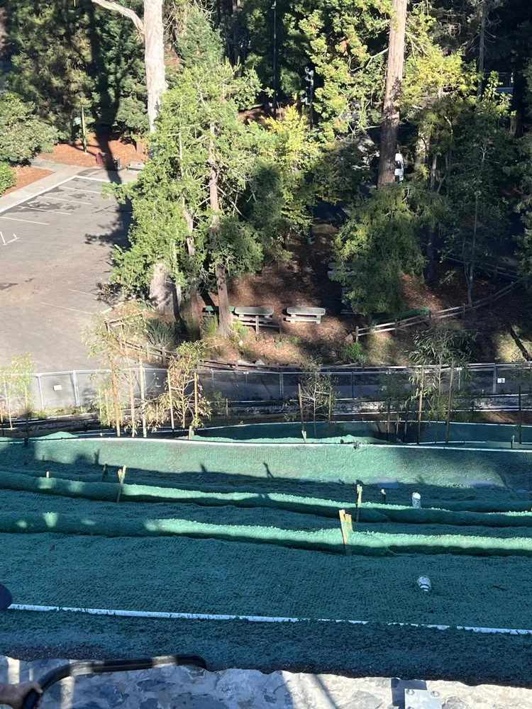 Slide of Zumwalt & Associates